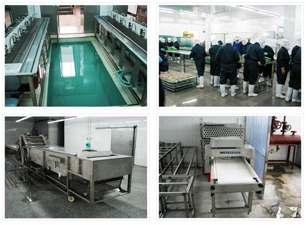 我們的優(yōu)勢